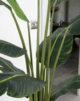 Artificial Bird Of ParaDise Tree UV/IFV in Royal White Stone Planter