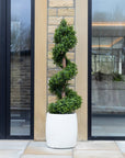 Artificial Buxus Spiral Stem Topiary in White Planter