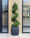 Artificial Buxus Spiral Stem Topiary Tree