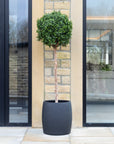 Artificial Buxus Ball Topiary Tree