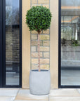 Artificial Buxus Ball Topiary Tree in Grey Planter