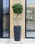 Artificial Buxus Ball Topiary Tree