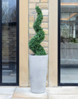 Artificial Buxus Spiral Topiary in Tall Grey Planter