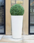 Artificial Buxus Ball Topiary in White Tall Planter