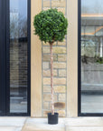 Artificial Buxus Ball Topiary Tree in White Planter