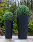 Artificial Buxus Ball Topiary in White Tall Planter