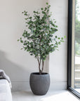 Artificial Eucalyptus Tree UV/IFV in Royal Anthracite Stone Planter