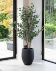 Artificial Eucalyptus Tree UV/IFV In Black Planter
