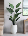 Artificial Bird Of ParaDise Tree UV/IFV in Antique White Planter