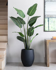 Artificial Bird Of ParaDise Tree UV/IFV in Black Planter