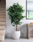 Artificial Ficus Tree UV/IFV in Royal White Stone Planter