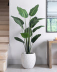 Artificial Bird Of ParaDise Tree UV/IFV in Royal White Stone Planter