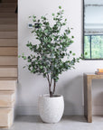 Artificial Eucalyptus Tree UV/IFV in Royal White Stone Planter