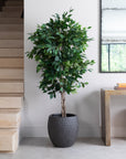 Artificial Ficus Tree UV/IFV in Royal Anthracite Stone Planter