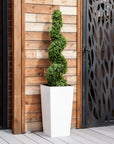 Artificial Buxus Spiral Topiary in Tall White Tapered Planter