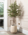 Artificial Olive Tree UV/IFV in Harrith Beige Planter