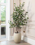 Artificial Eucalyptus Tree UV/IFV In Antique White Planter