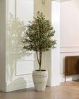 Artificial Olive Tree UV/IFV in Chalk White Planter