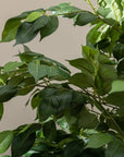 Artificial Ficus Tree UV/IFV in Lena Beige Planter