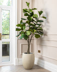 Artificial Fiddle Fig Tree UV/IFV in Antique White Planter
