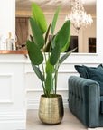 Artificial Bird Of ParaDise Tree UV/IFV in Gold Metal Planter