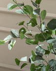 Artificial Eucalyptus Tree UV/IFV in Royal Anthracite Stone Planter