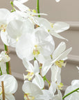 Artificial Orchid In Black Polystone Planter