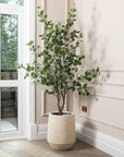 Artificial Eucalyptus Tree UV/IFV In Harrith Beige Planter