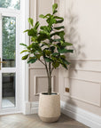 Artificial Fiddle Fig Tree UV/IFV in Harrith Beige Planter