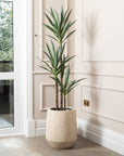 Artificial Yucca Tree UV/IFV in Harrith Beige Planter