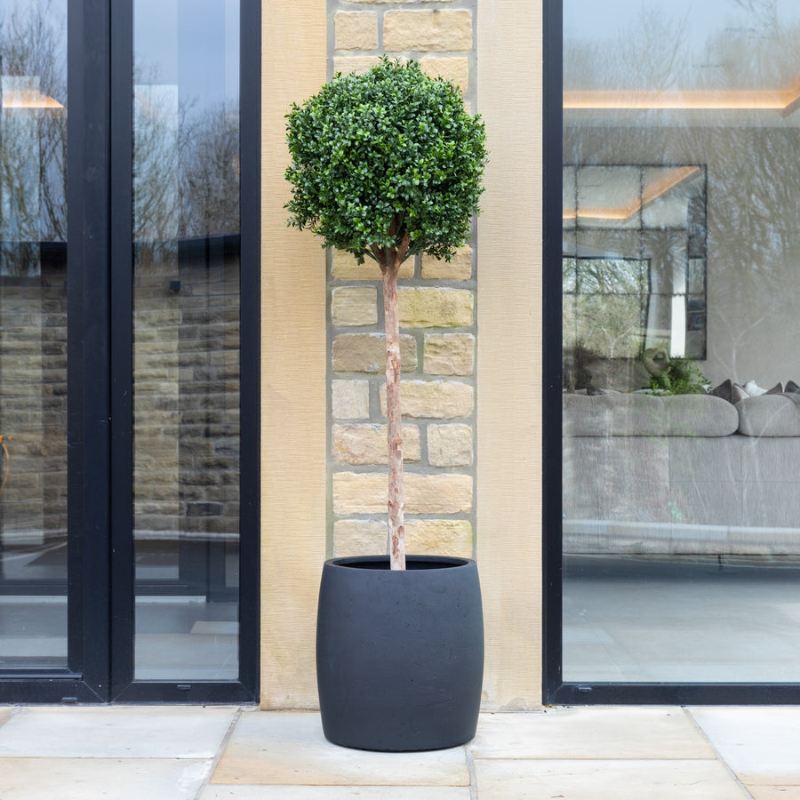 Artificial Buxus Ball Topiary Tree in Black Planter