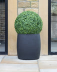 Artificial Buxus Ball Topiary in Black Planter