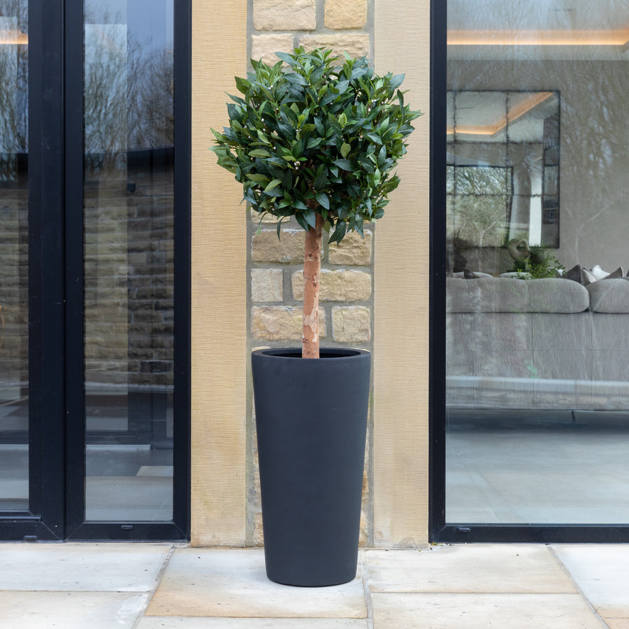 Artificial Laurel Bay Tree in Tall Black Planter