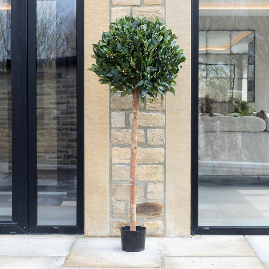 Artificial Laurel Bay Tree in Tall Grey Planter