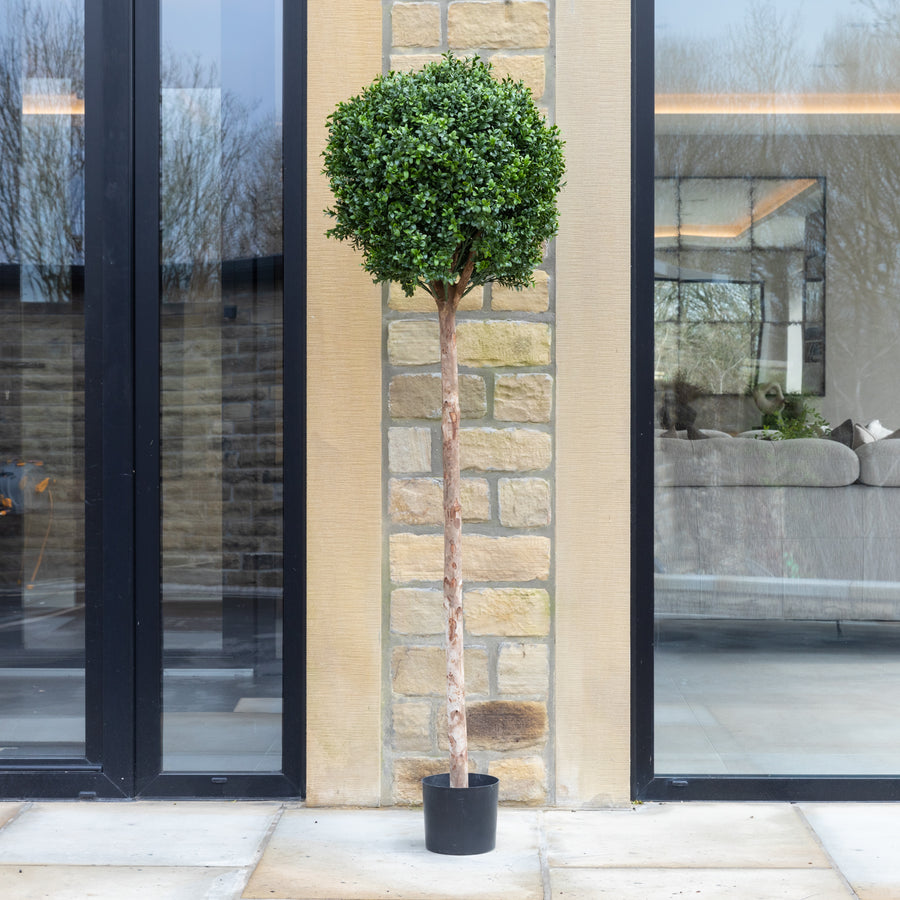 Artificial Buxus Ball Topiary Tree in White Planter