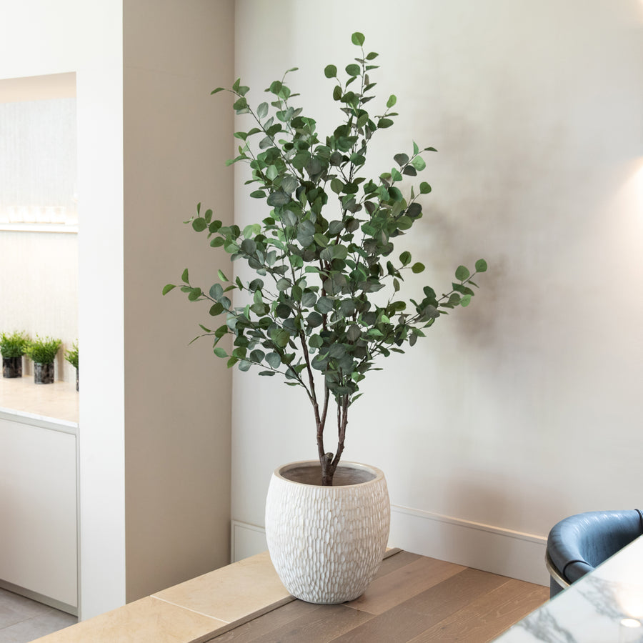 Artificial Eucalyptus Tree UV/IFV in Royal White Stone Planter