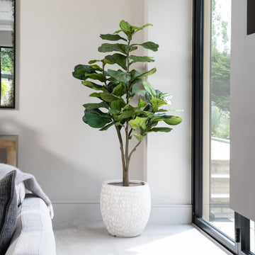 Artificial Fiddle Fig Tree UV/IFV in Royal Stone Planter