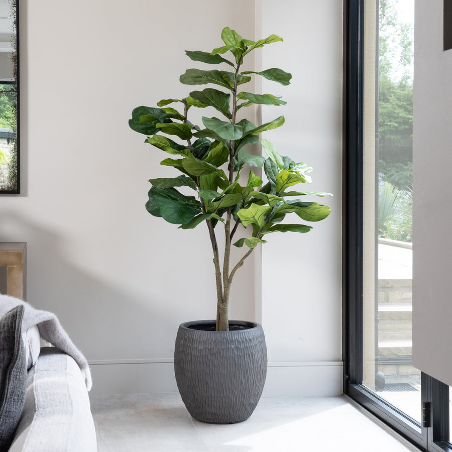 Artificial Fiddle Fig Tree UV/IFV in Royal Anthracite Stone Planter