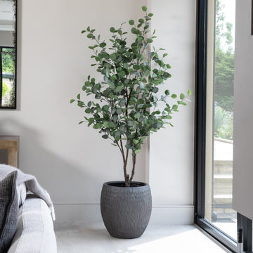 Artificial Eucalyptus Tree UV/IFV in Royal Anthracite Stone Planter