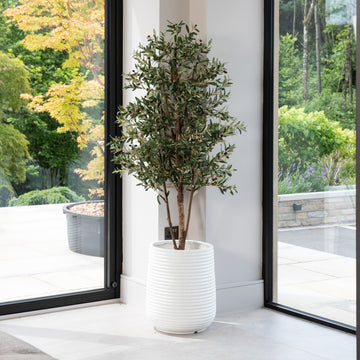 Artificial Olive Tree UV/IFV in White Ribbed Stone Planter