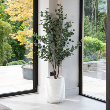 Artificial Eucalyptus Tree UV/IFV in White Ribbed Stone Planter