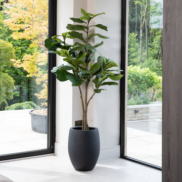 Artificial Fiddle Fig Tree UV/IFV in Black Planter