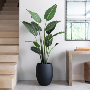 Artificial Bird Of ParaDise Tree UV/IFV in Black Planter