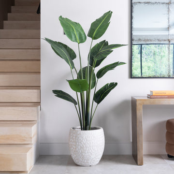 Artificial Bird Of ParaDise Tree UV/IFV in Royal White Stone Planter