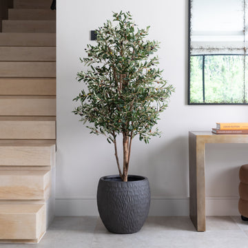 Artificial Olive Tree UV/IFV in Royal Anthracite Stone Planter