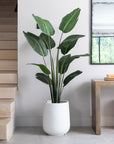 Artificial Bird Of ParaDise Tree UV/IFV in White Ribbed Planter