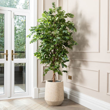 Artificial Ficus Tree UV/IFV in Harrith Beige Planter