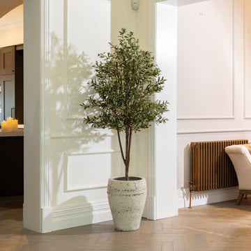 Artificial Olive Tree UV/IFV in Chalk White Planter