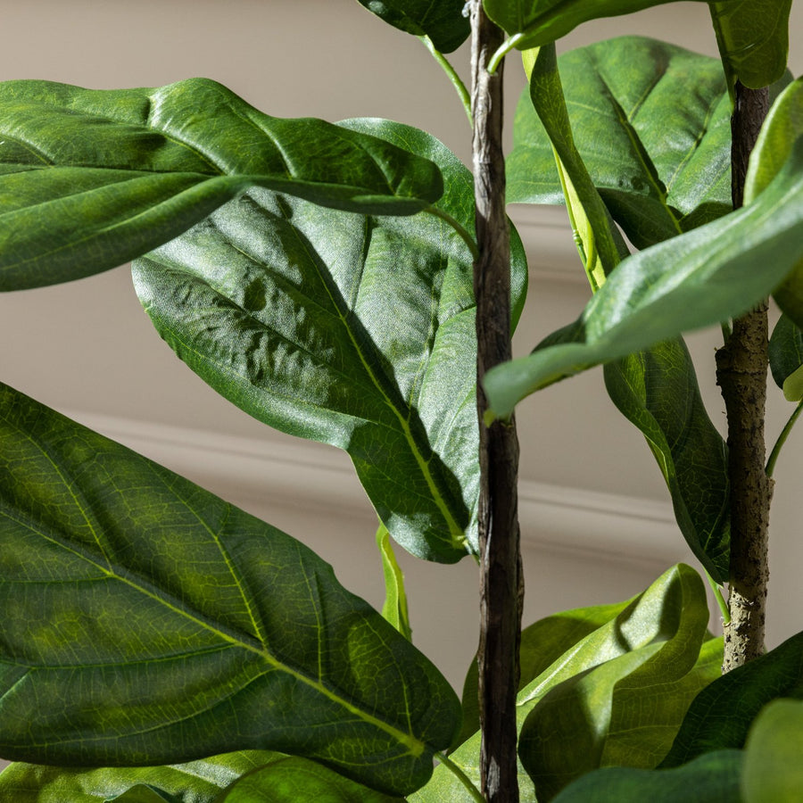 Artificial Fiddle Fig Tree UV/IFV in Fleuri Beige Planter
