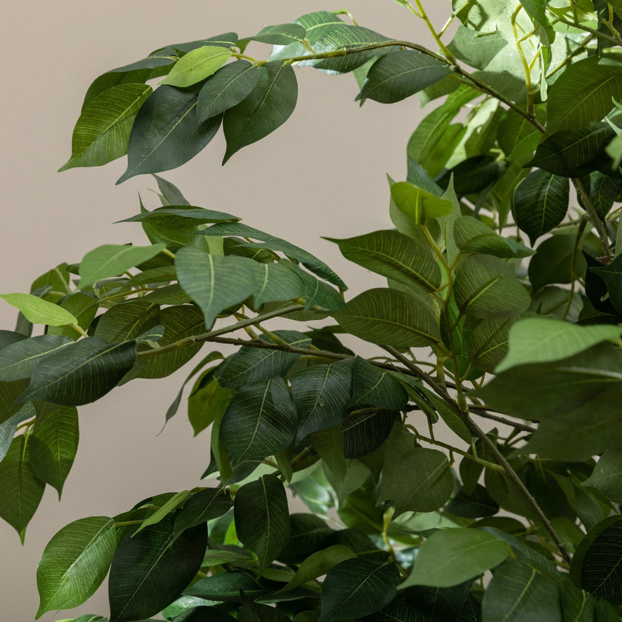 Artificial Ficus Tree UV/IFV in Antique White Planter